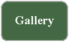 Rounded Rectangle: Gallery